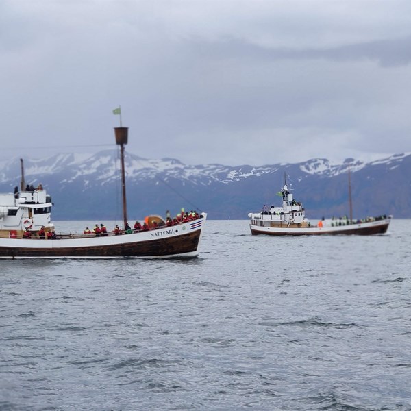 A Weekend in the North of Iceland